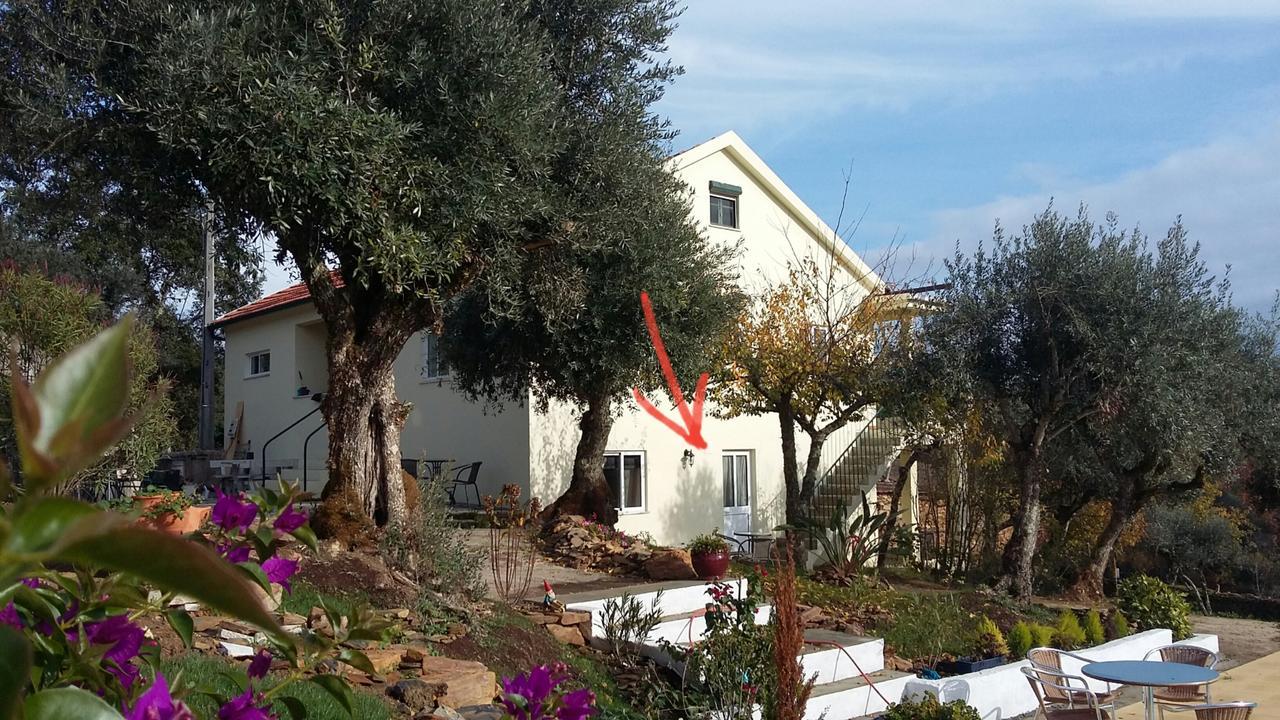 Porturama Bed & Breakfast Mouronho Eksteriør bilde